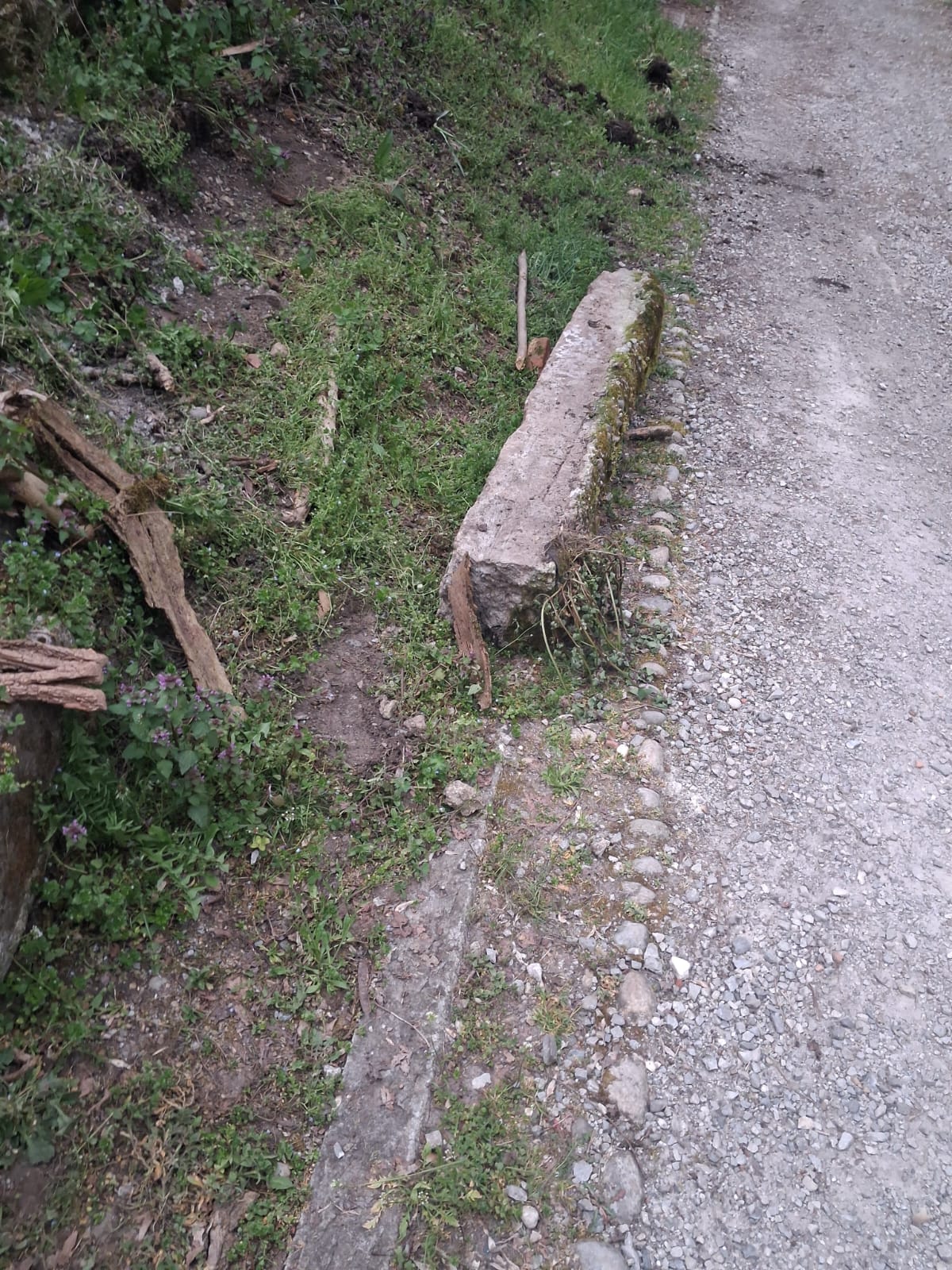 StallazzoDannoCanaline2.jpg (447 KB)