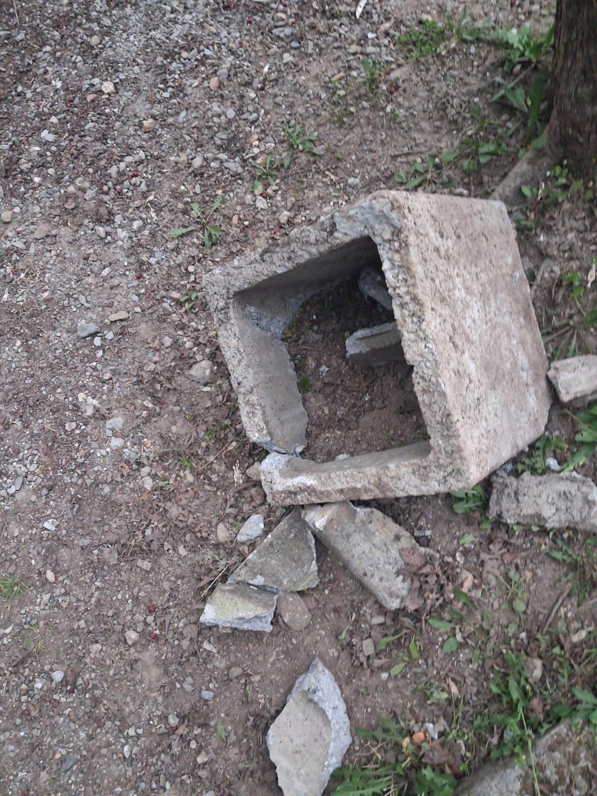 StallazzoDannoCanaline3.jpg (356 KB)