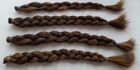 TaglioCapelliValle__3_PRIMAMOL.jpg (34 KB)