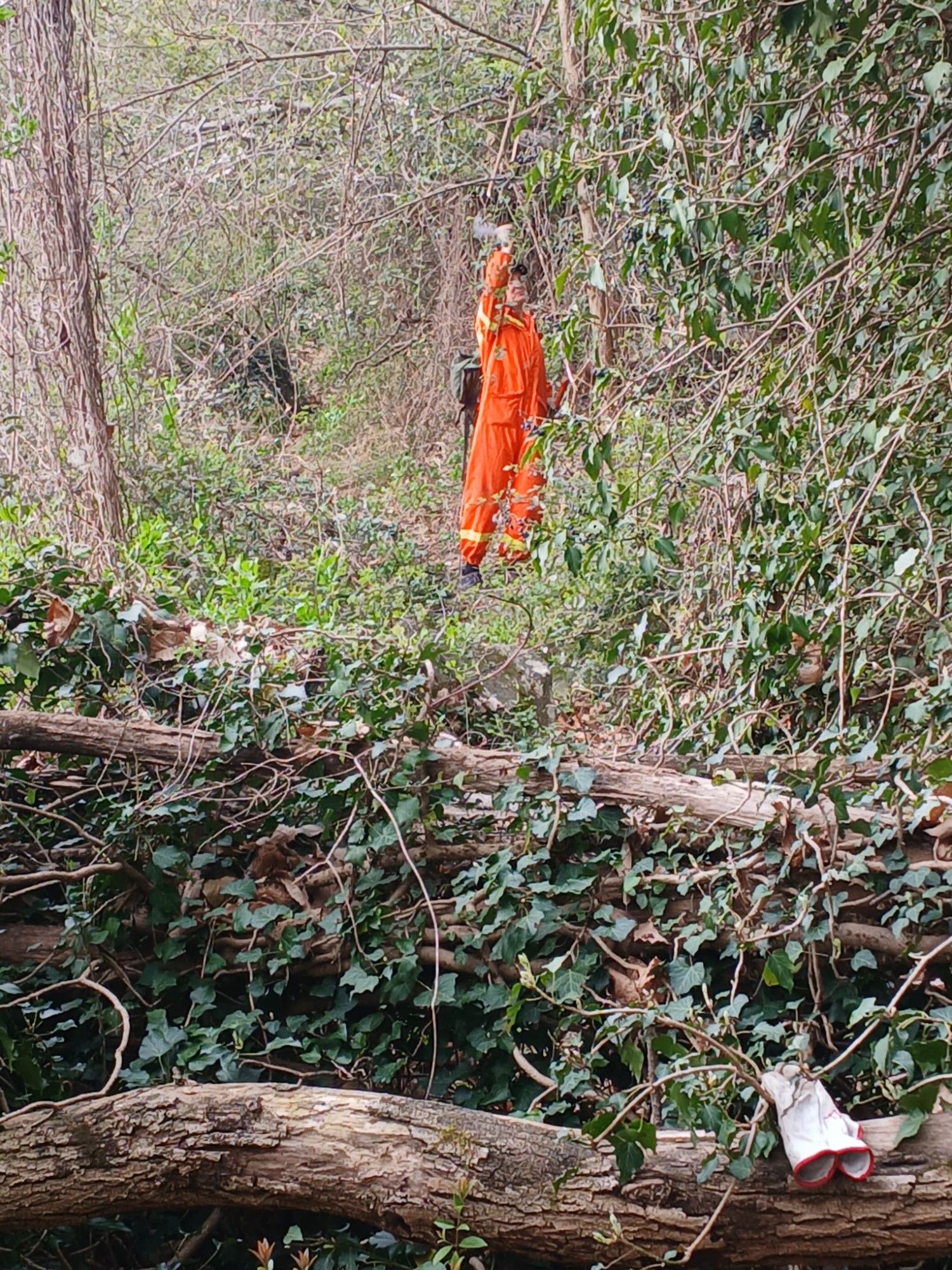 VolontariMonteBrianza__1_.jpeg (930 KB)