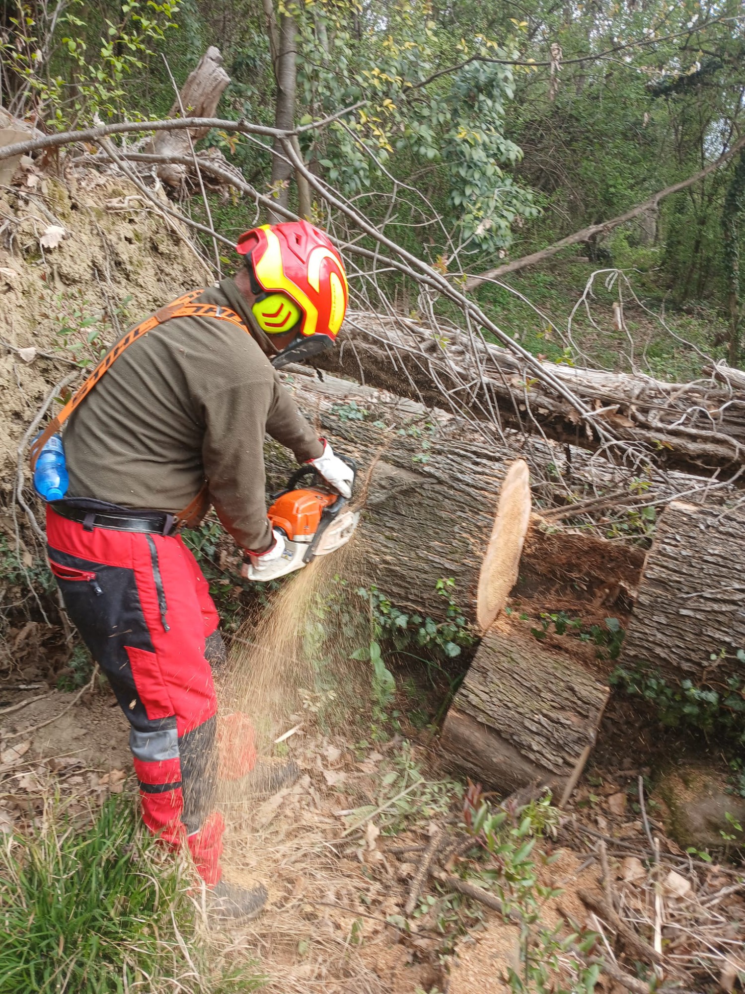 VolontariMonteBrianza__4_.jpeg (977 KB)