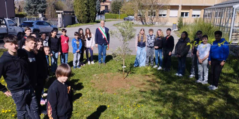 missagliaulivopr.jpg (273 KB)