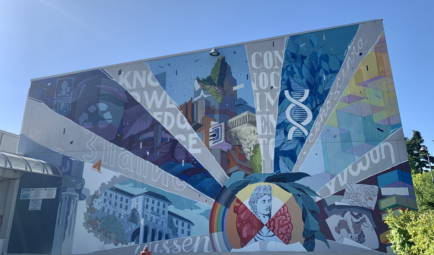 Gli strappi nei muri di cemento