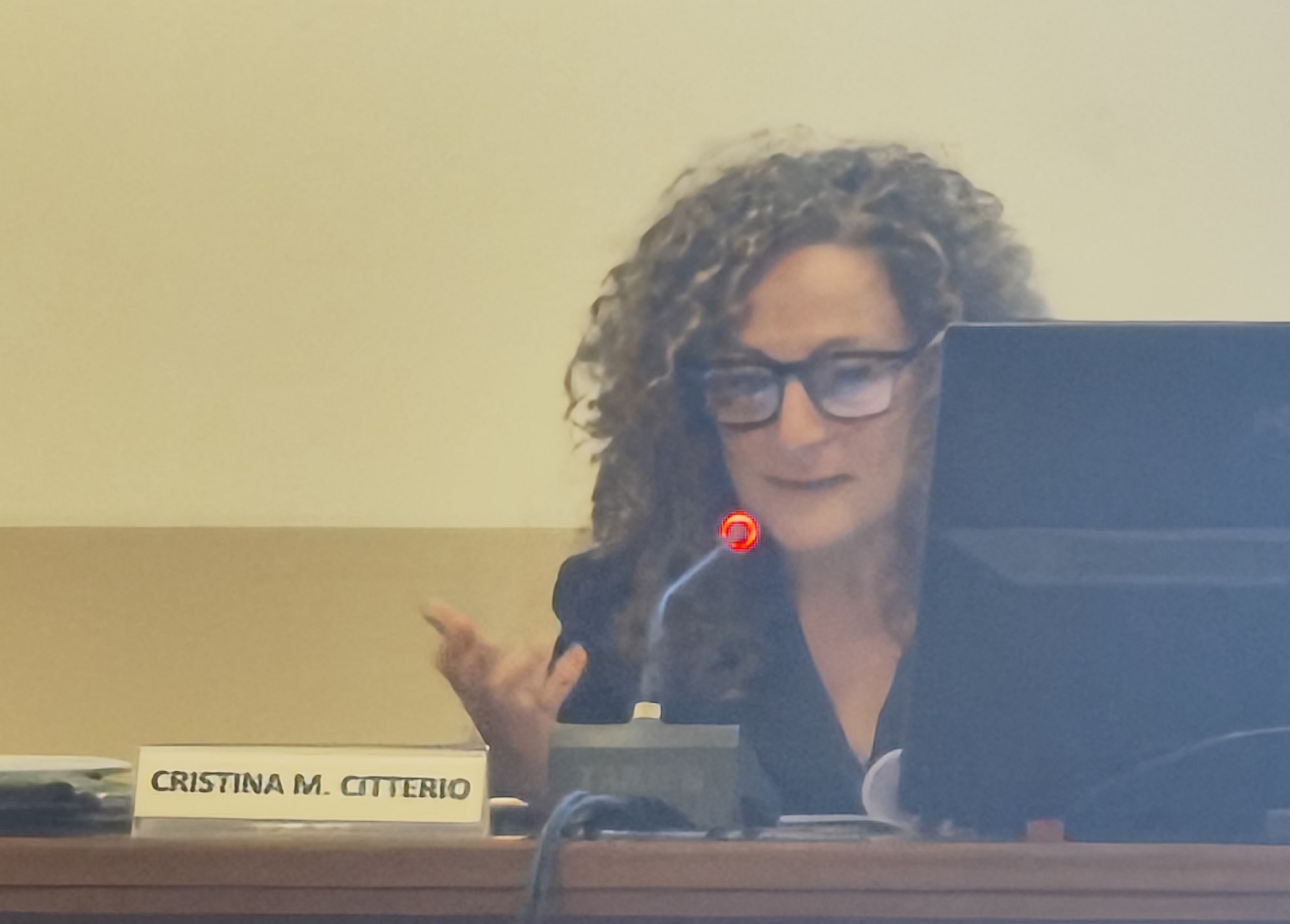 CitterioCristinaLomagna.jpg (198 KB)