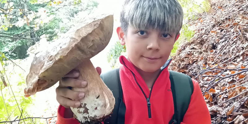 Brivio: un fungo gigante per il giovane Amedeo