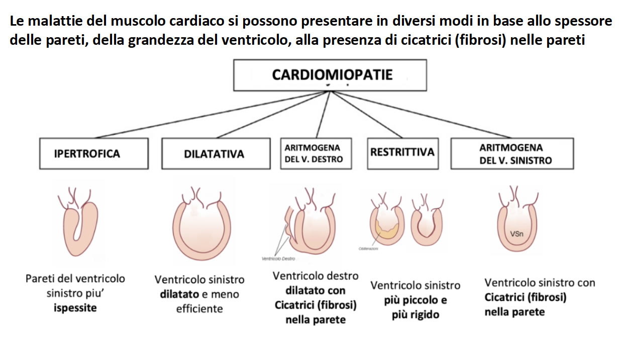 MandicConvegnoCardio5.jpg (113 KB)