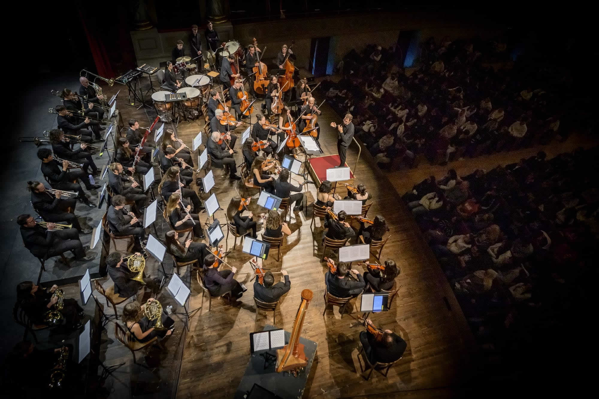Orchestra_Vibes.jpg (267 KB)