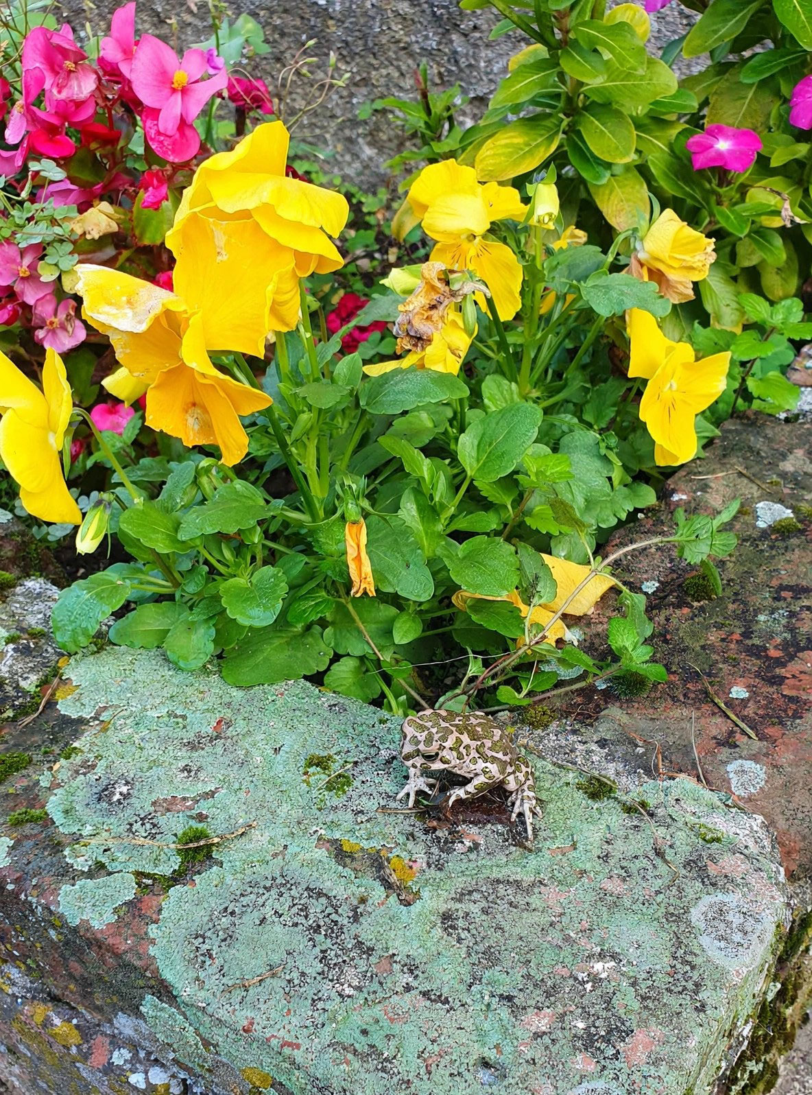 VisiteOttobreChiesina__2_.jpg (738 KB)