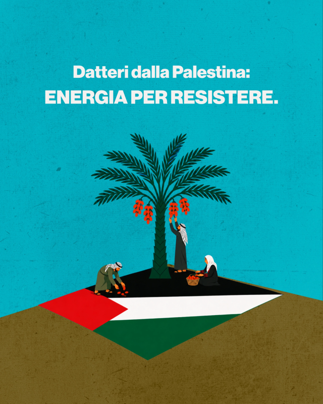 1Datteri_dalla_Palestina.png (739 KB)
