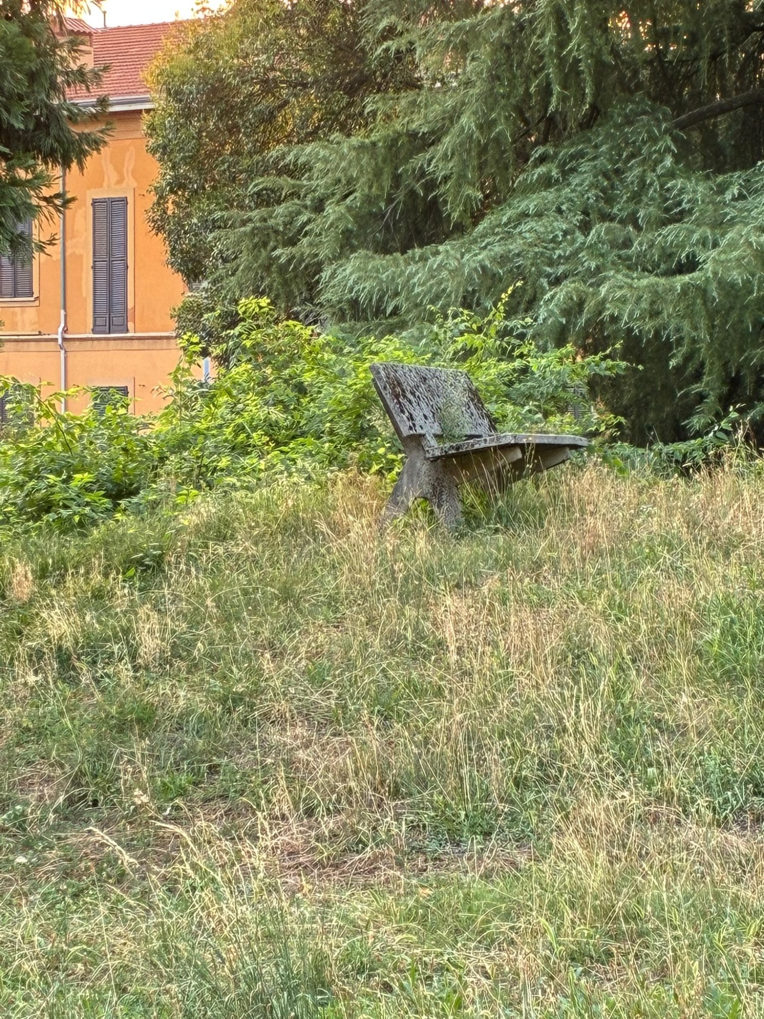 CernTaglioErba__1_.jpeg (1014 KB)