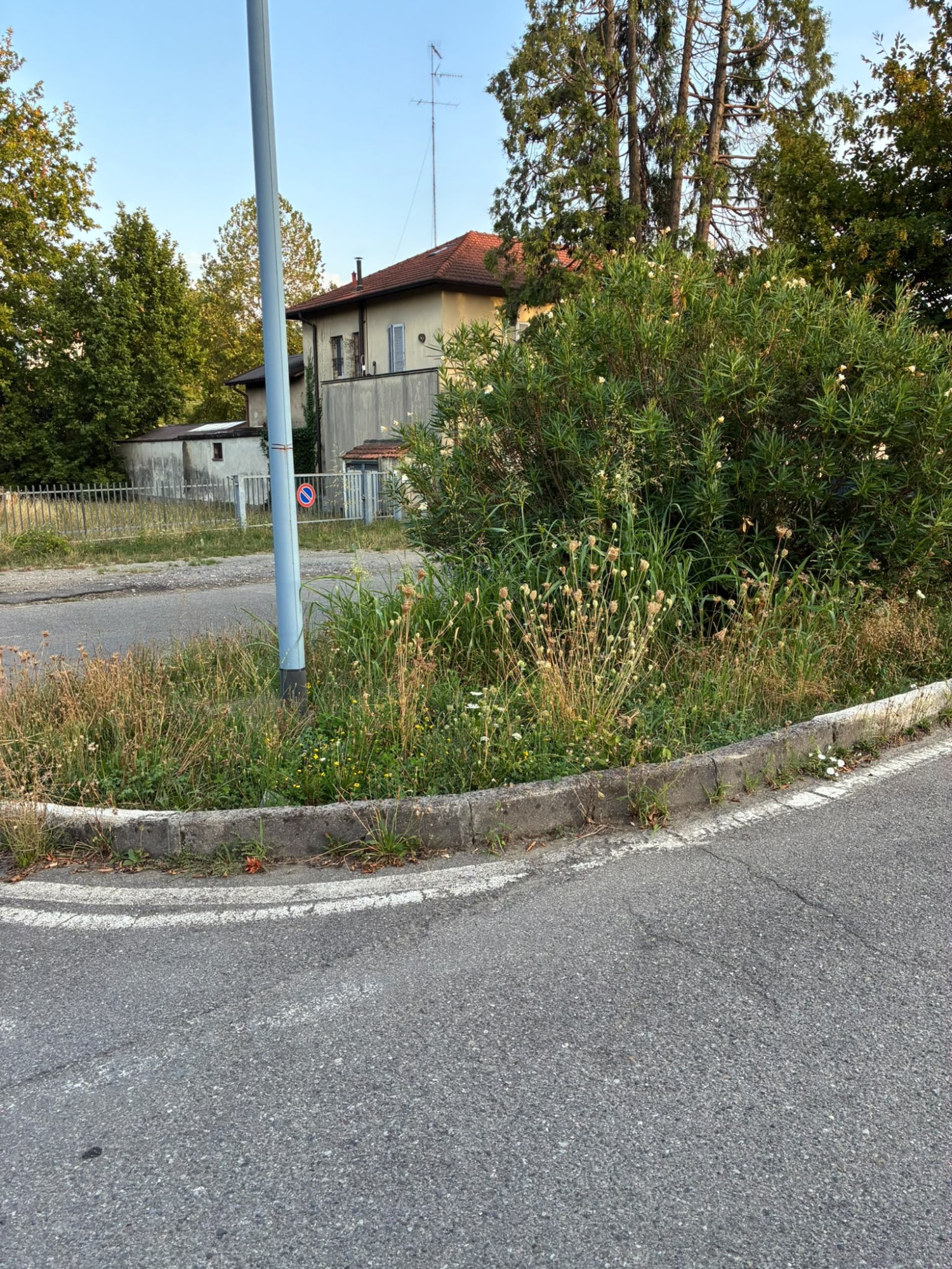 CernTaglioErba__7_.jpeg (1.01 MB)