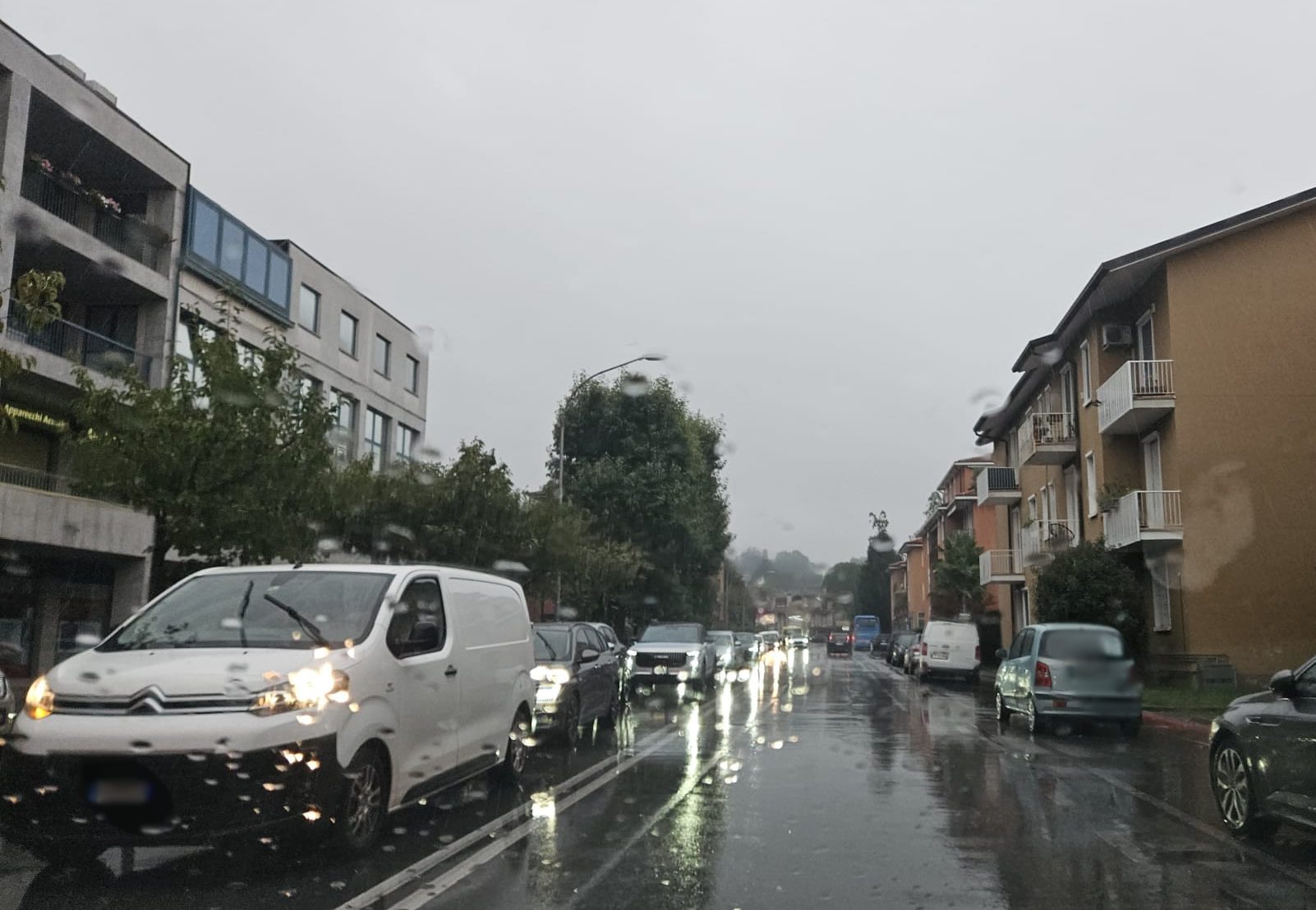 MerateTrafficoDeGasperi.jpg (246 KB)