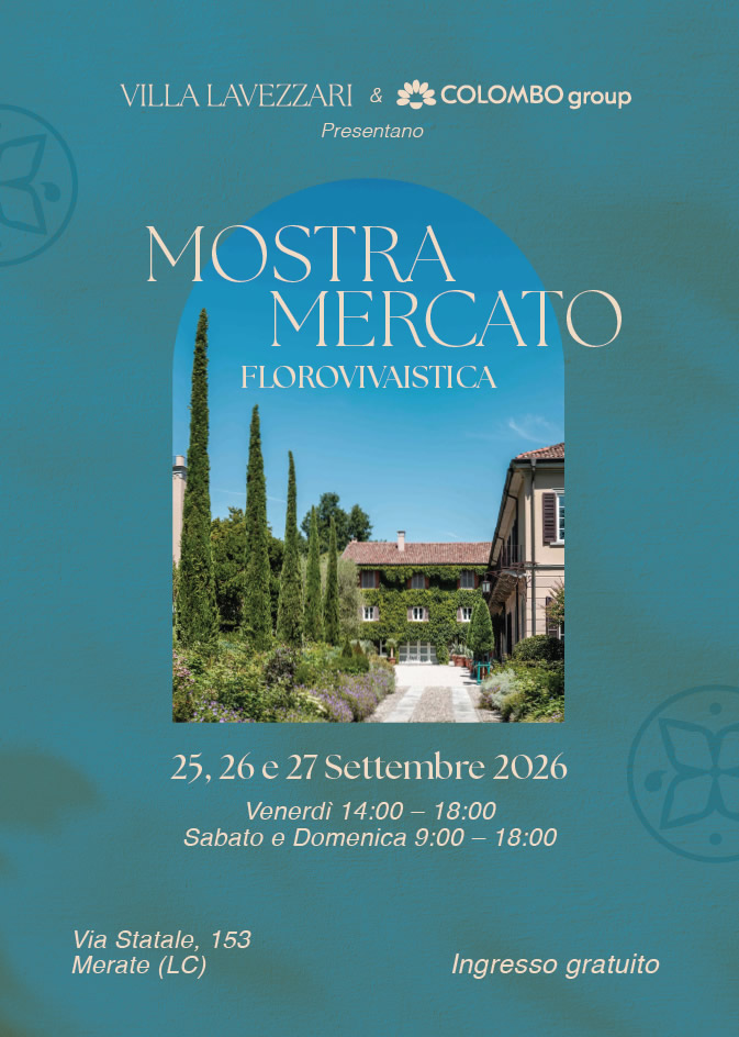 MerateVillaLavezzariMercatino1.jpg (143 KB)