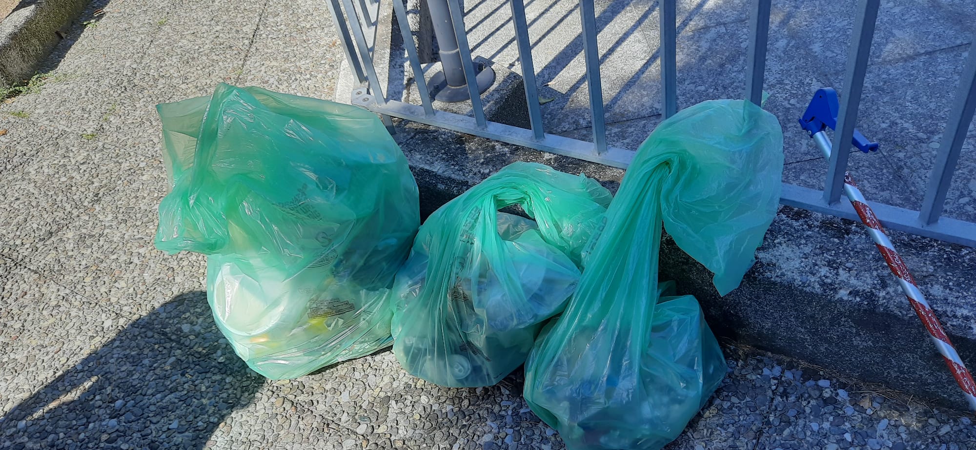 NovatePlasticFreeOrtorio3.jpg (390 KB)