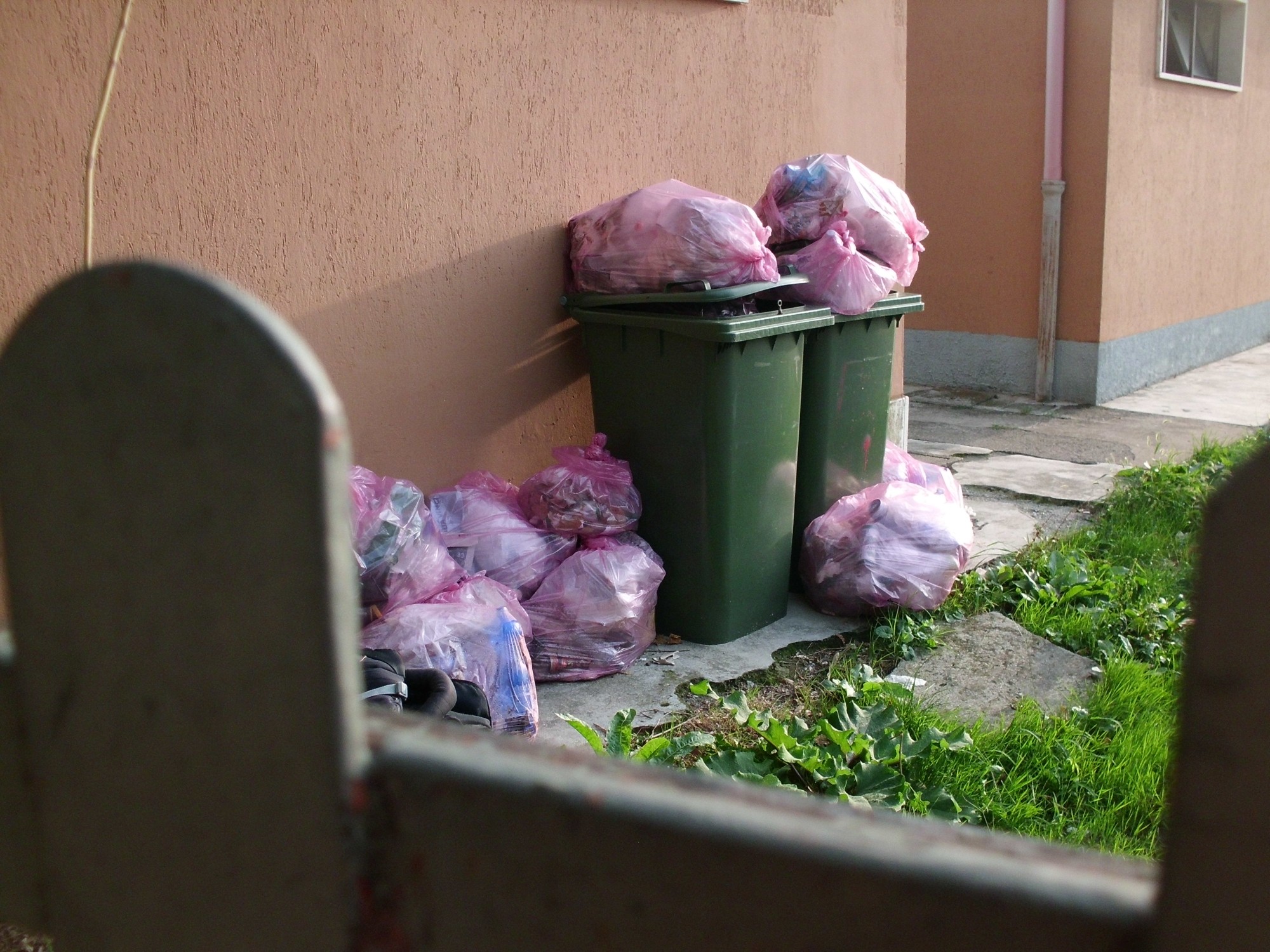 PadernoRfiSegnalazione__2_.JPG (626 KB)