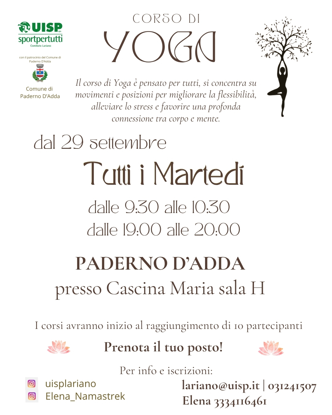 Padernoyoga_vinyasa_2026-2027.jpg (543 KB)