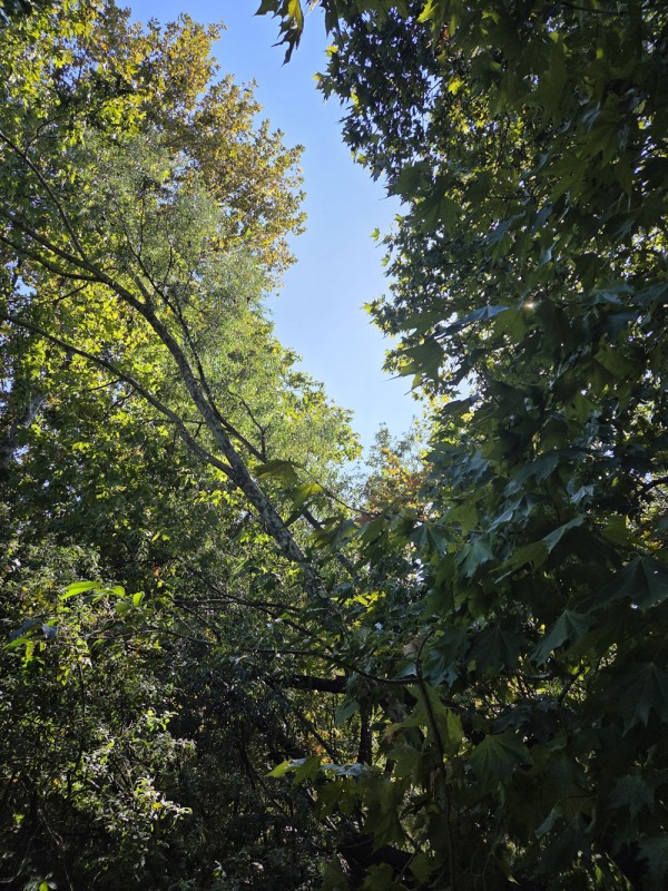 RiservaLagoGestioneParco1.jpg (204 KB)