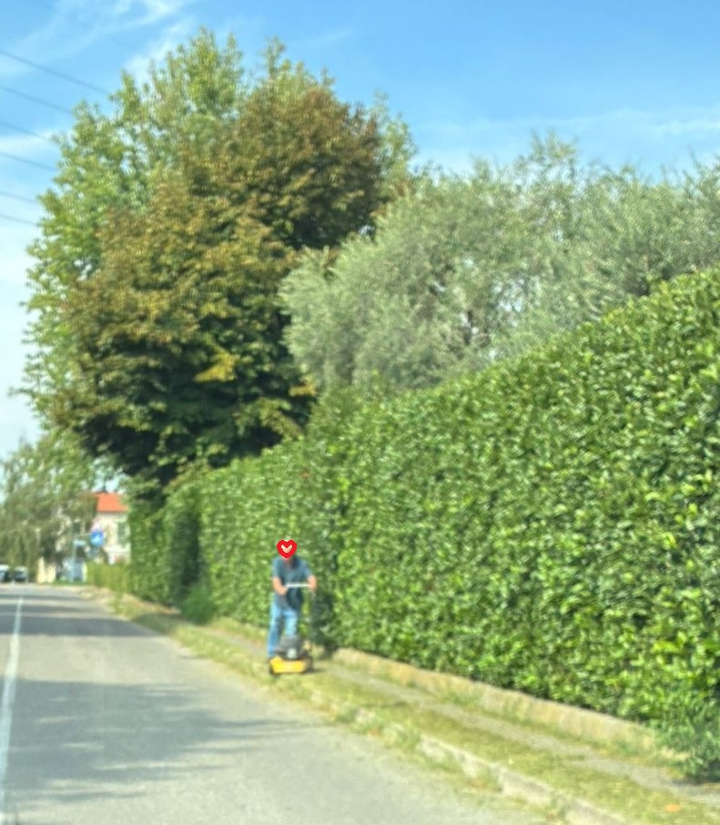 cittadino.jpeg (221 KB)