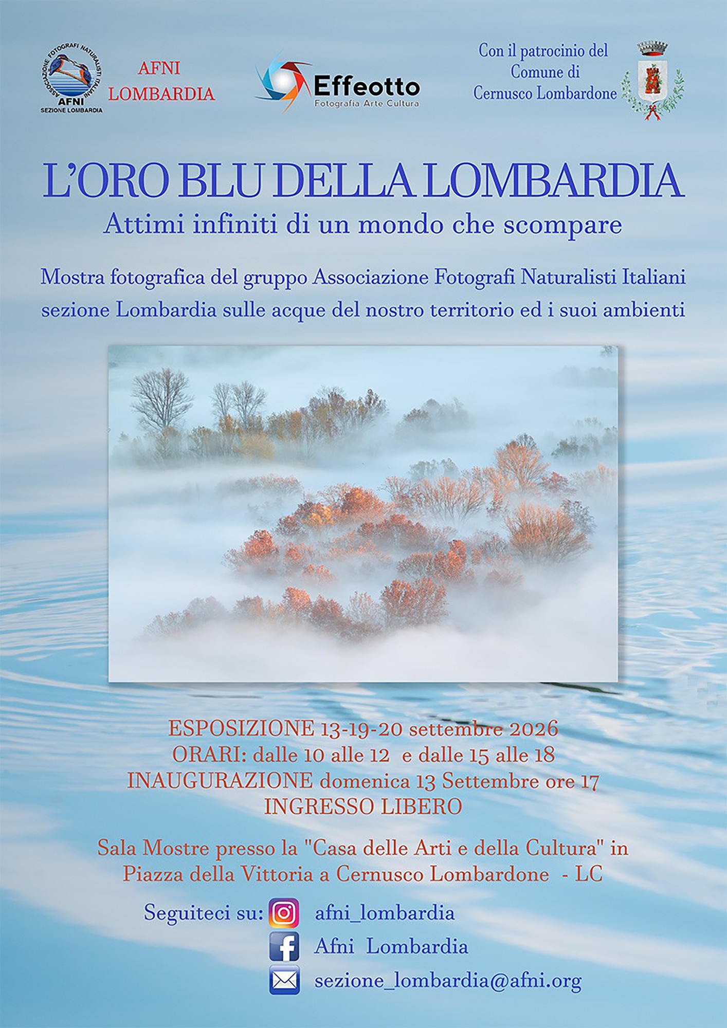 loro_blu.jpg (462 KB)