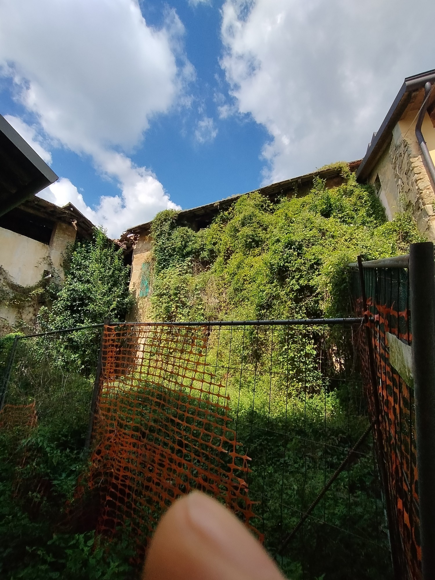 mondonicosegnalazioni__2_.jpg (800 KB)