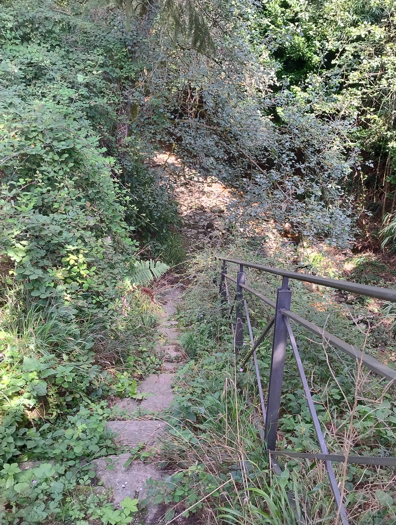 mondonicosegnalazioni__4_.jpg (1.38 MB)