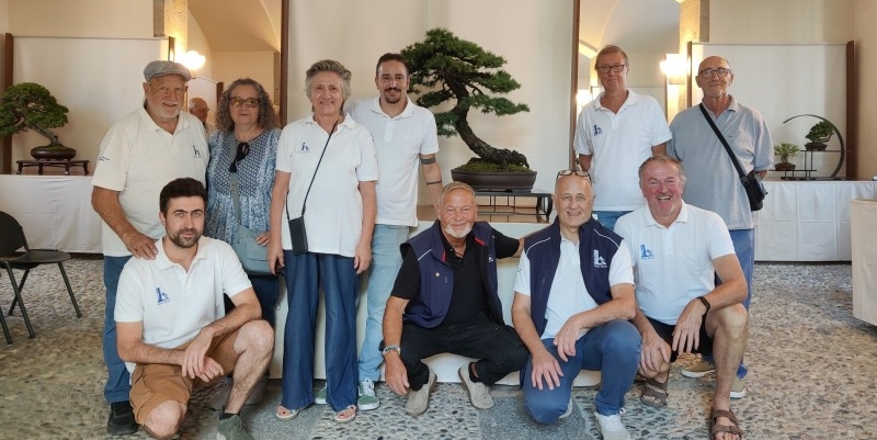 vg_bonsai__4_.jpg (221 KB)