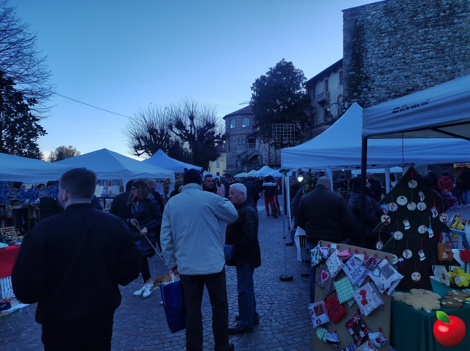 mercatini_natale_brivio__7_.jpg (410 KB)