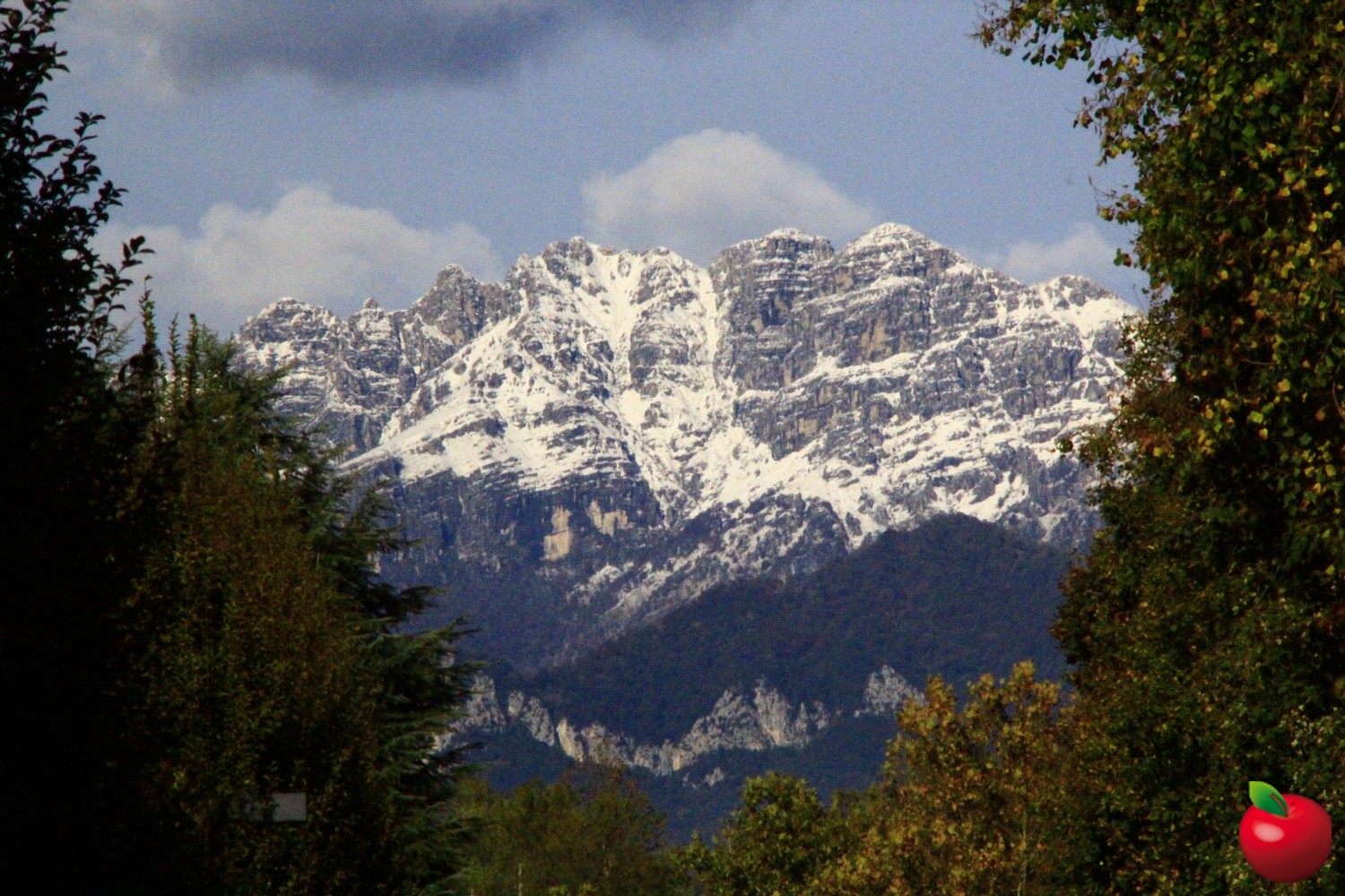 _MG_0600.jpg (446 KB)