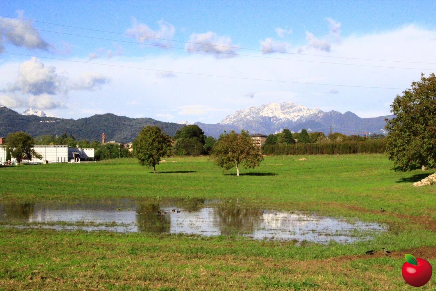 _MG_0602.jpg (425 KB)