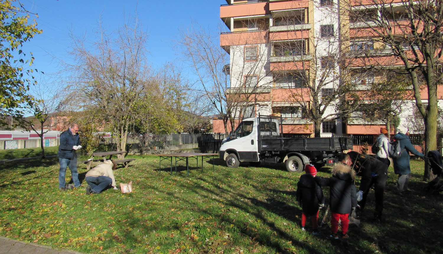 piantumazioni_osnago_01.jpg (321 KB)