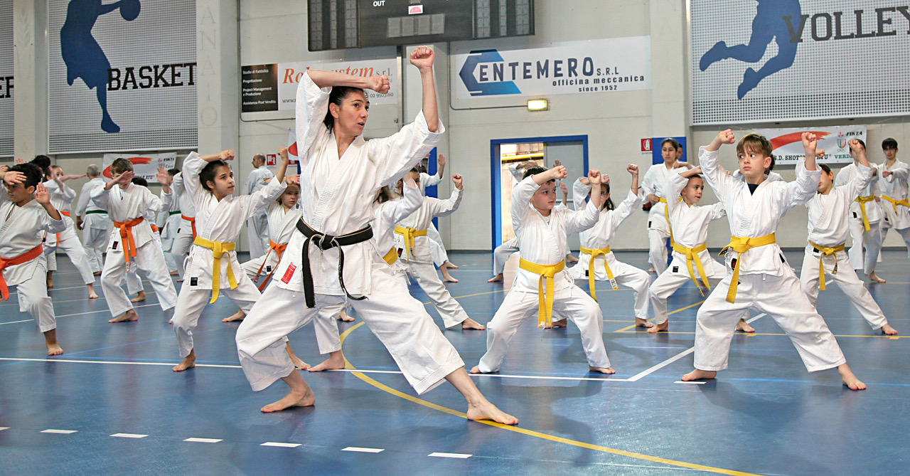 ConcorezzoStageKarate  10 .