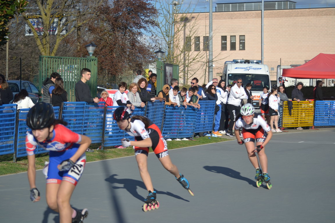 DSC_9963__FILEminimizer_.JPG (217 KB)