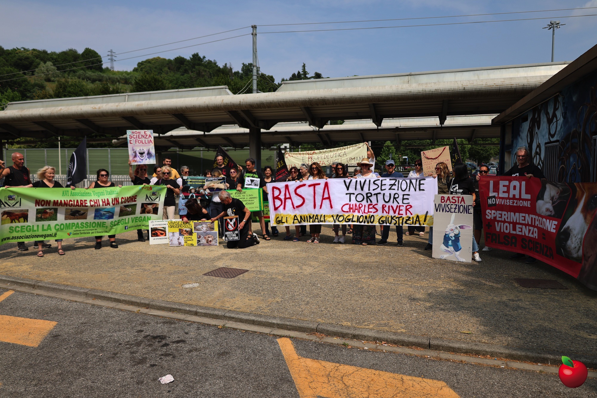 Manifestazione_Vivisezione14.jpg (1.09 MB)