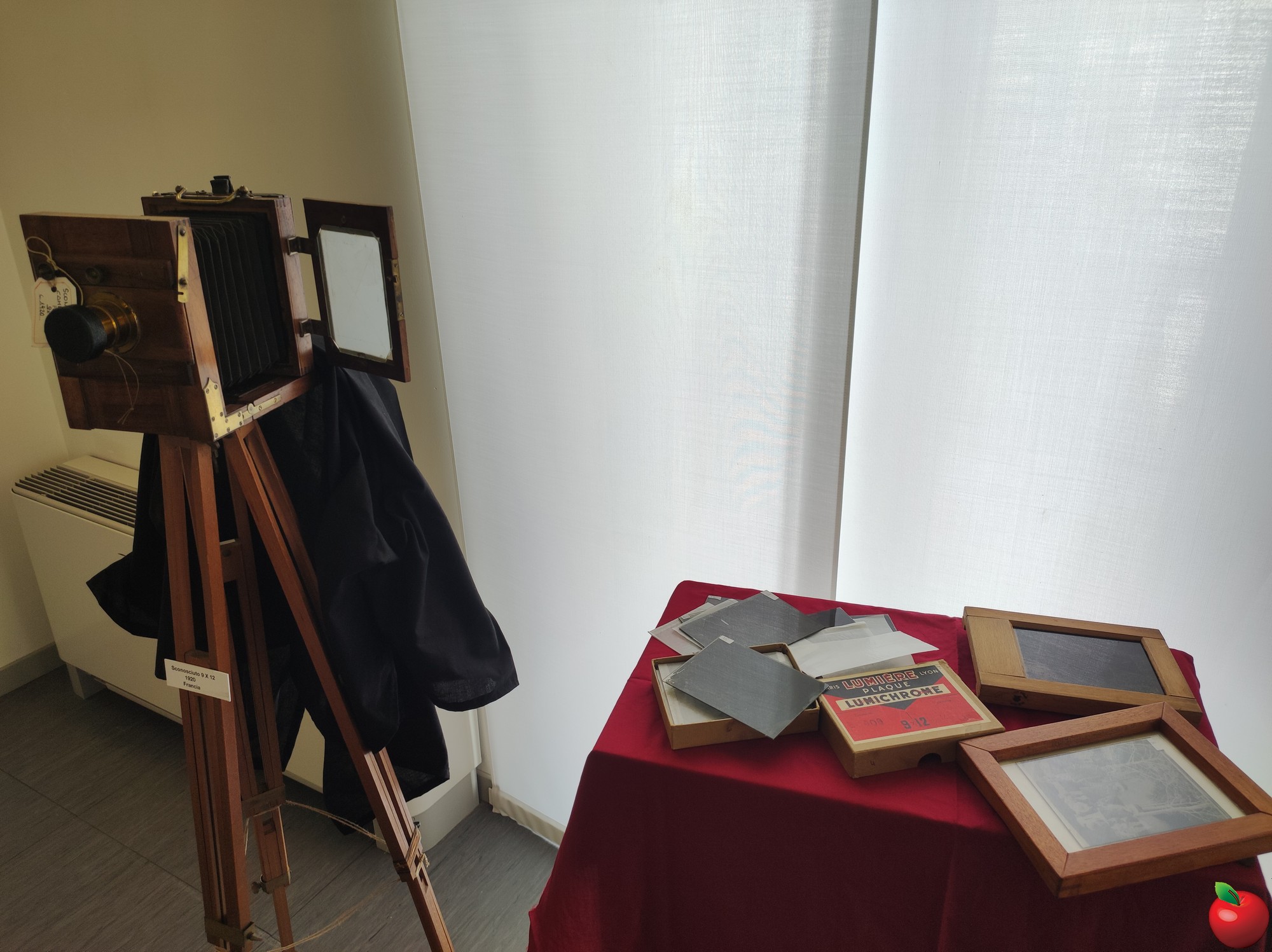 mostra corneo imbersago  11 