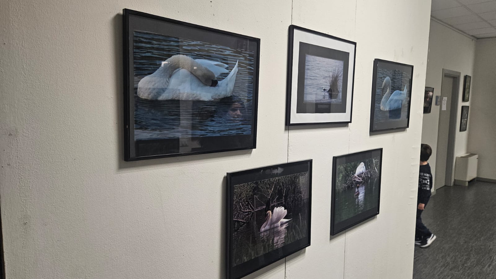 WhatsApp Image 2025-11-09 at 18.00.34  1 .