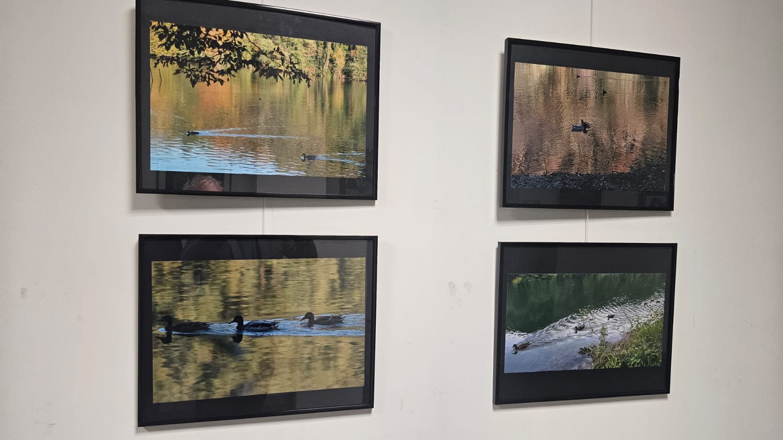 WhatsApp Image 2025-11-09 at 18.00.34  2 .