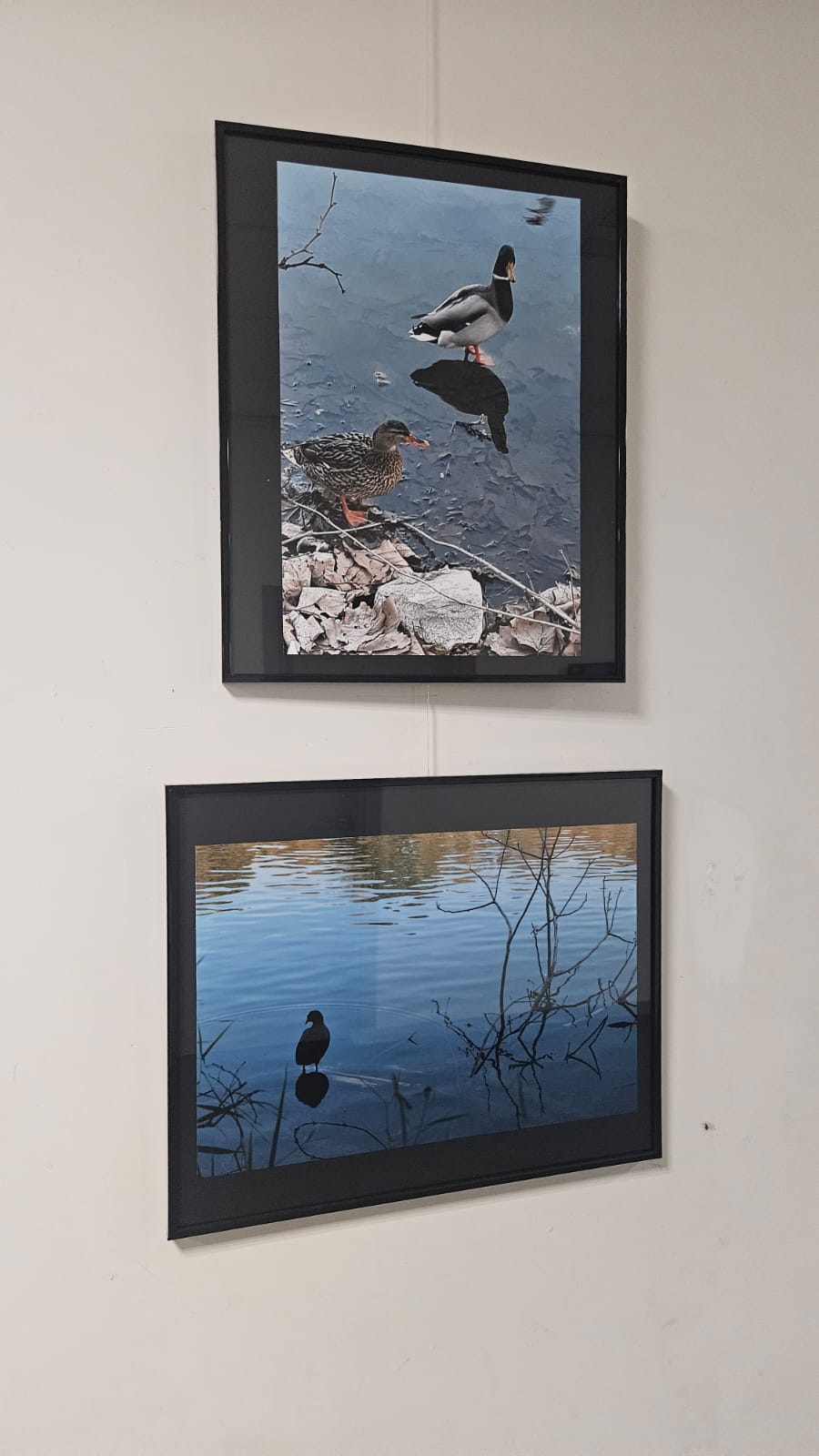 WhatsApp Image 2025-11-09 at 18.00.34  3 .