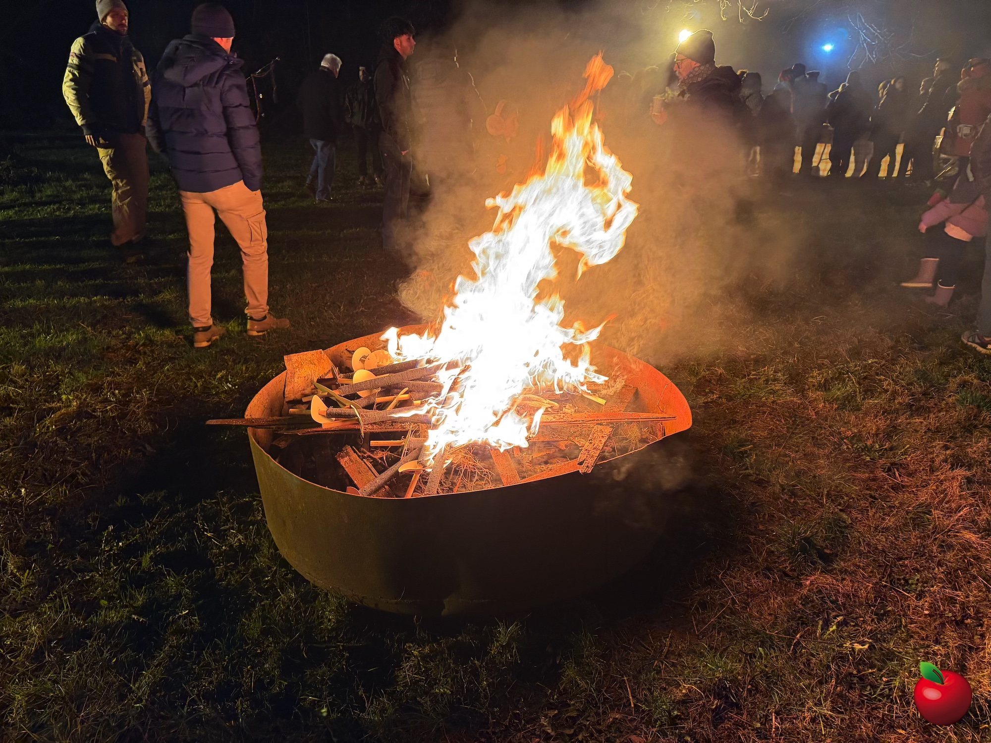 LVB_notte_lumini32.jpg (1.05 MB)