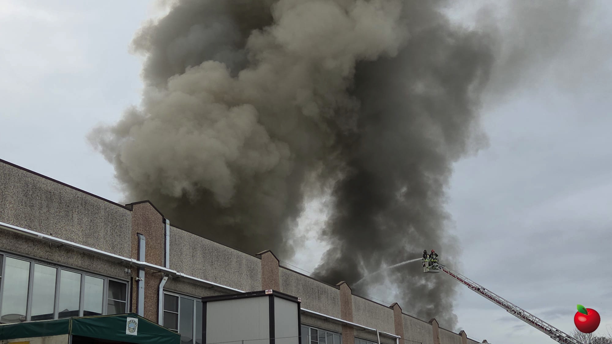 WhatsApp_Image_2025-12-04_at_13.29.50__1_.jpg (237 KB)