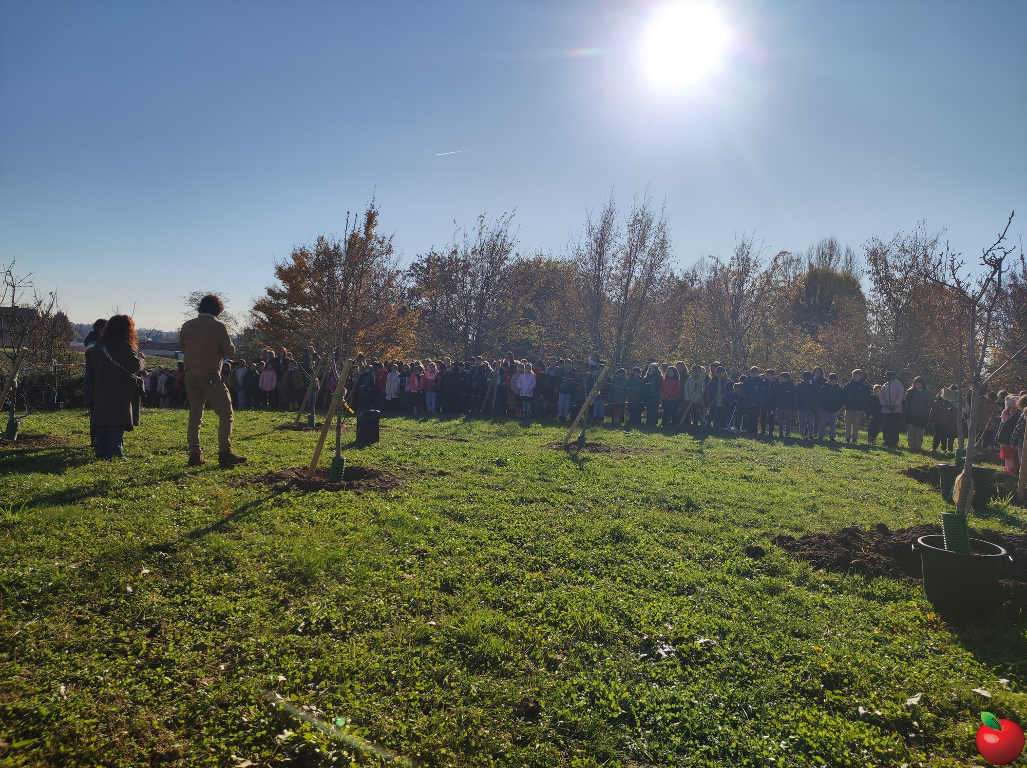 MeratePiantumazioneAlberi__8_.jpg (1.02 MB)
