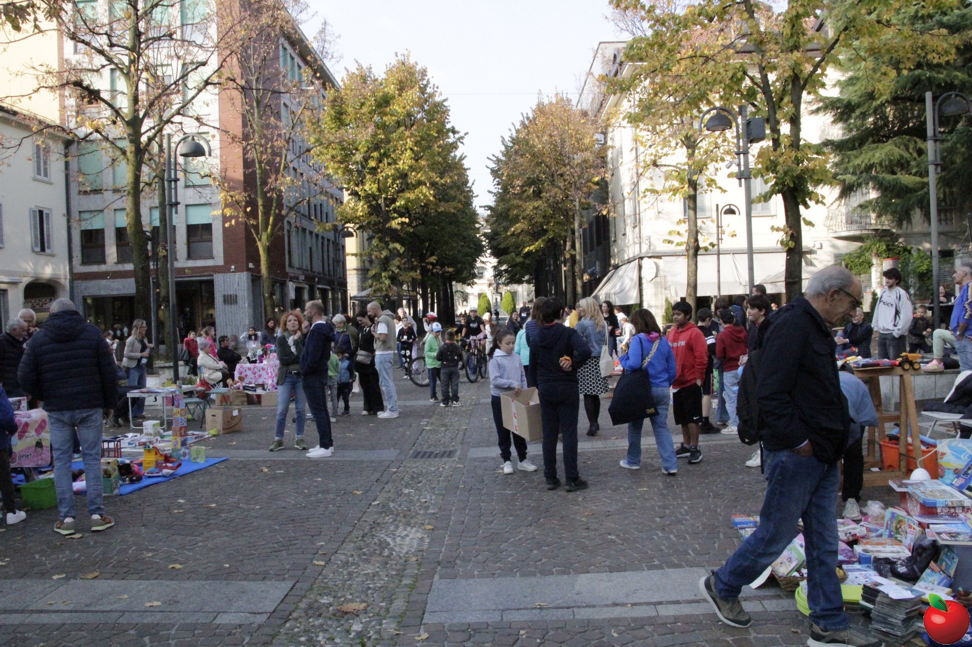_MG_9023.jpg (819 KB)