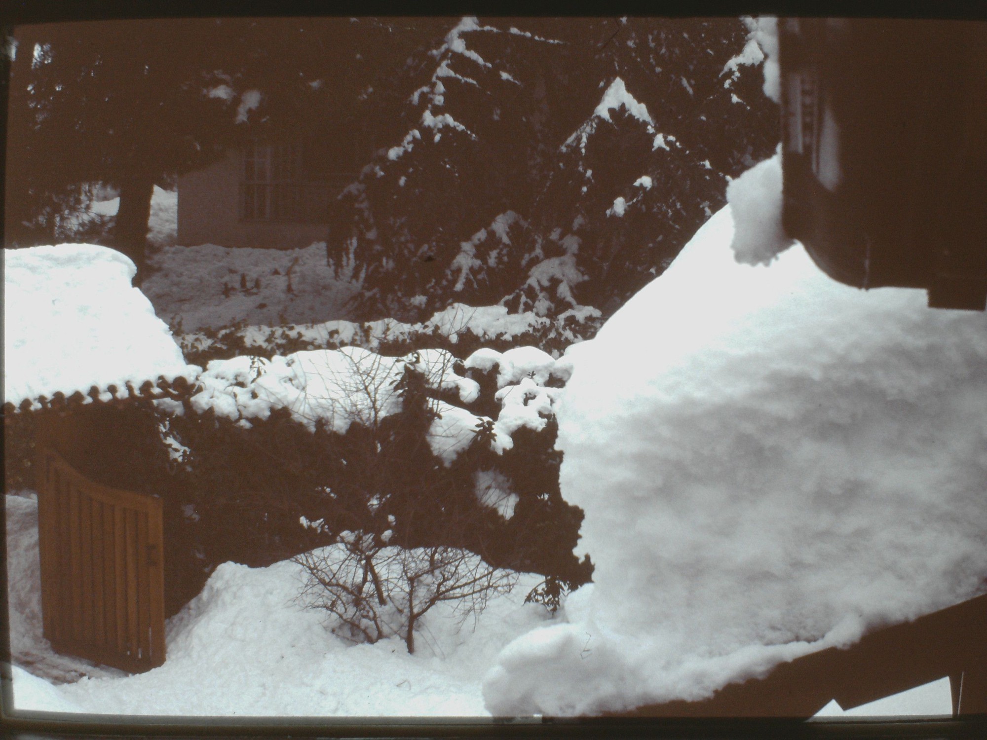 CA250115_211553.jpg (481 KB)