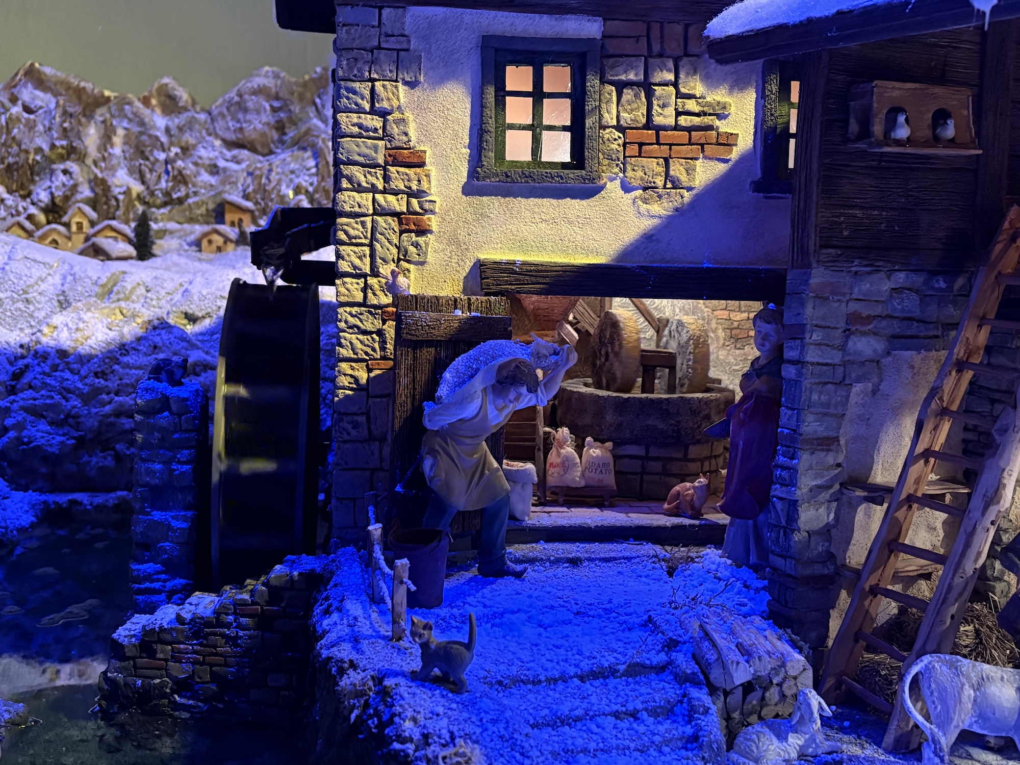 image00005.jpeg (1.33 MB)