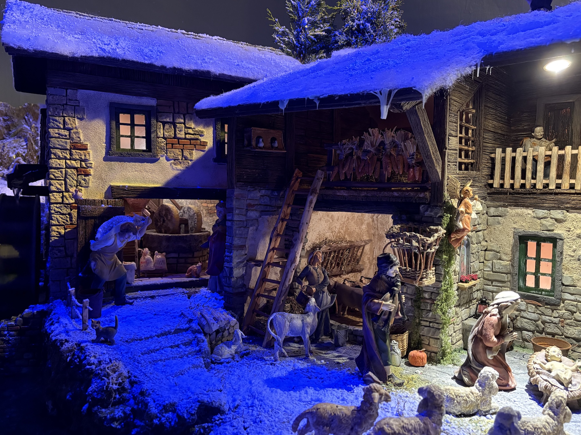 image00006.jpeg (1.51 MB)