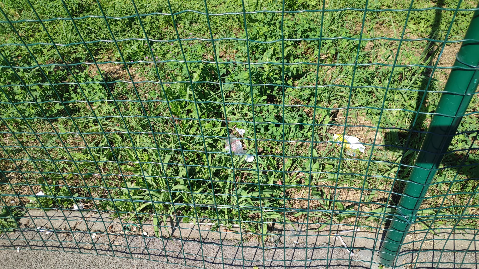 WhatsApp_Image_2025-05-03_at_07.47.04__1_.jpeg (764 KB)