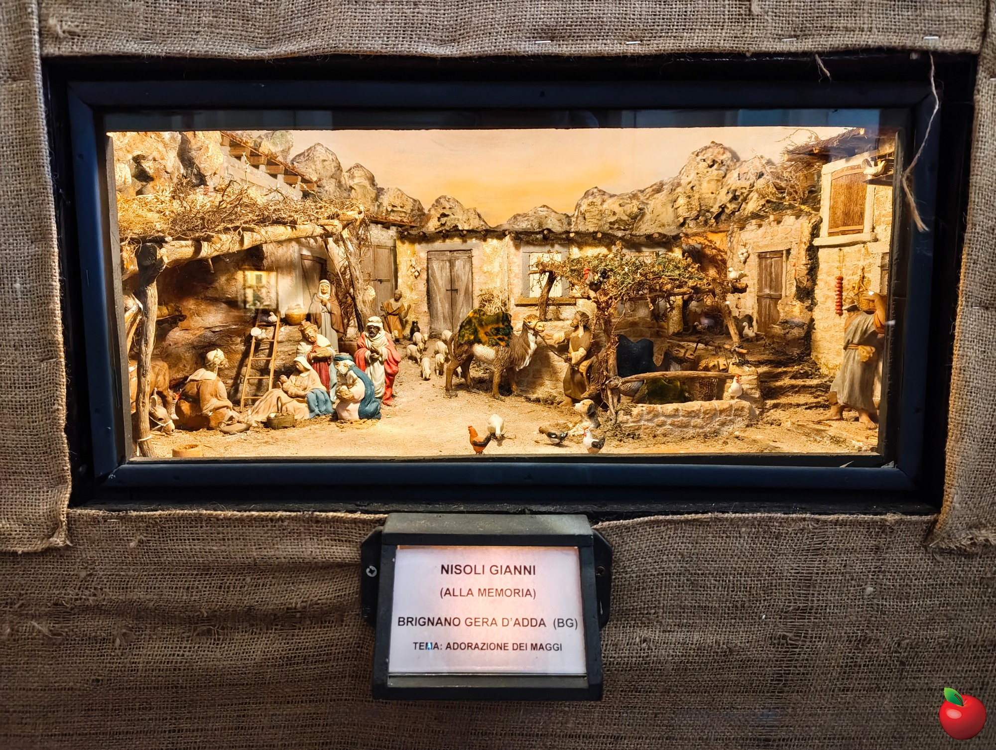 1000050476.jpg (1008 KB)