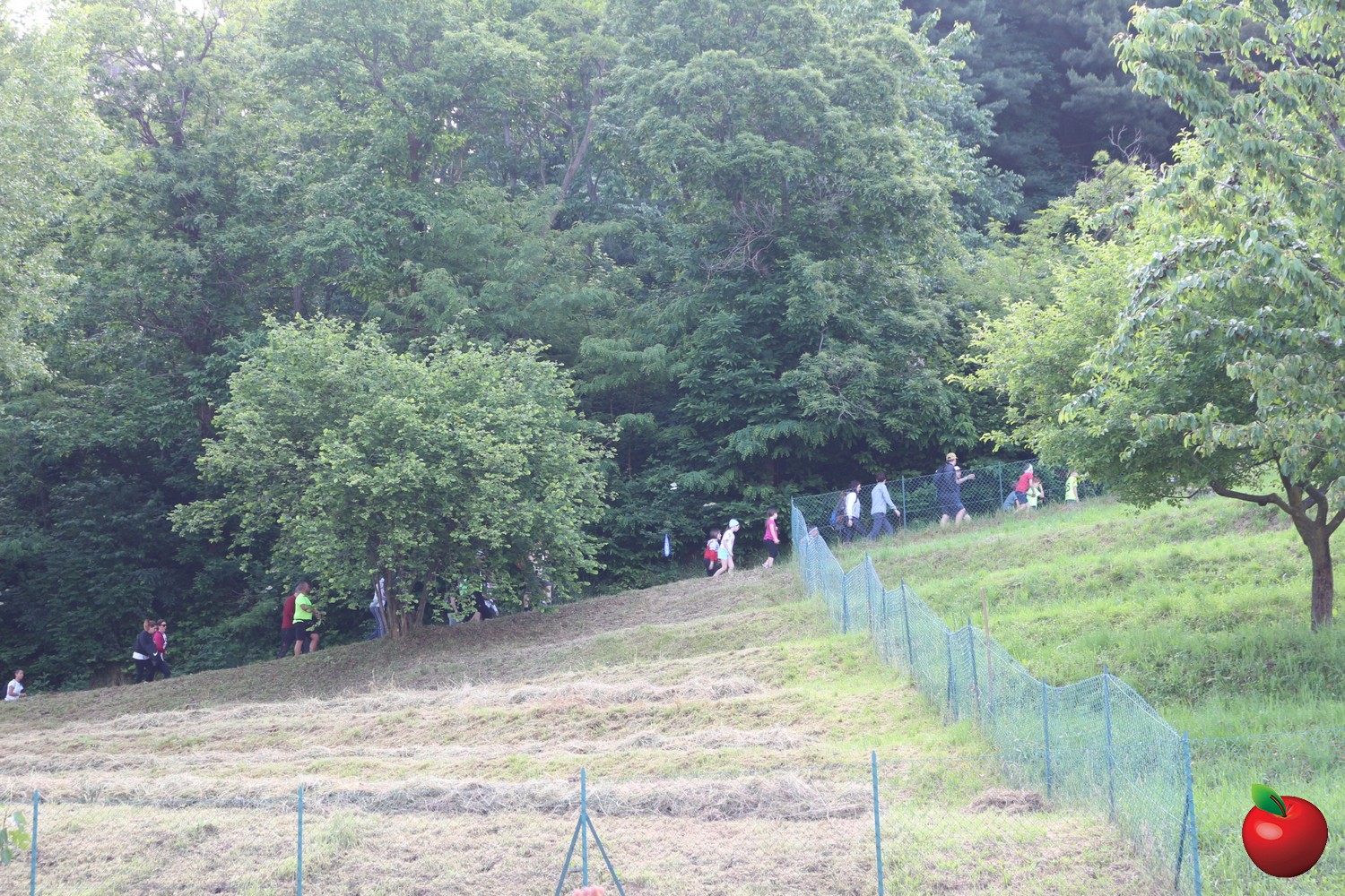 Image00006.jpg (642 KB)