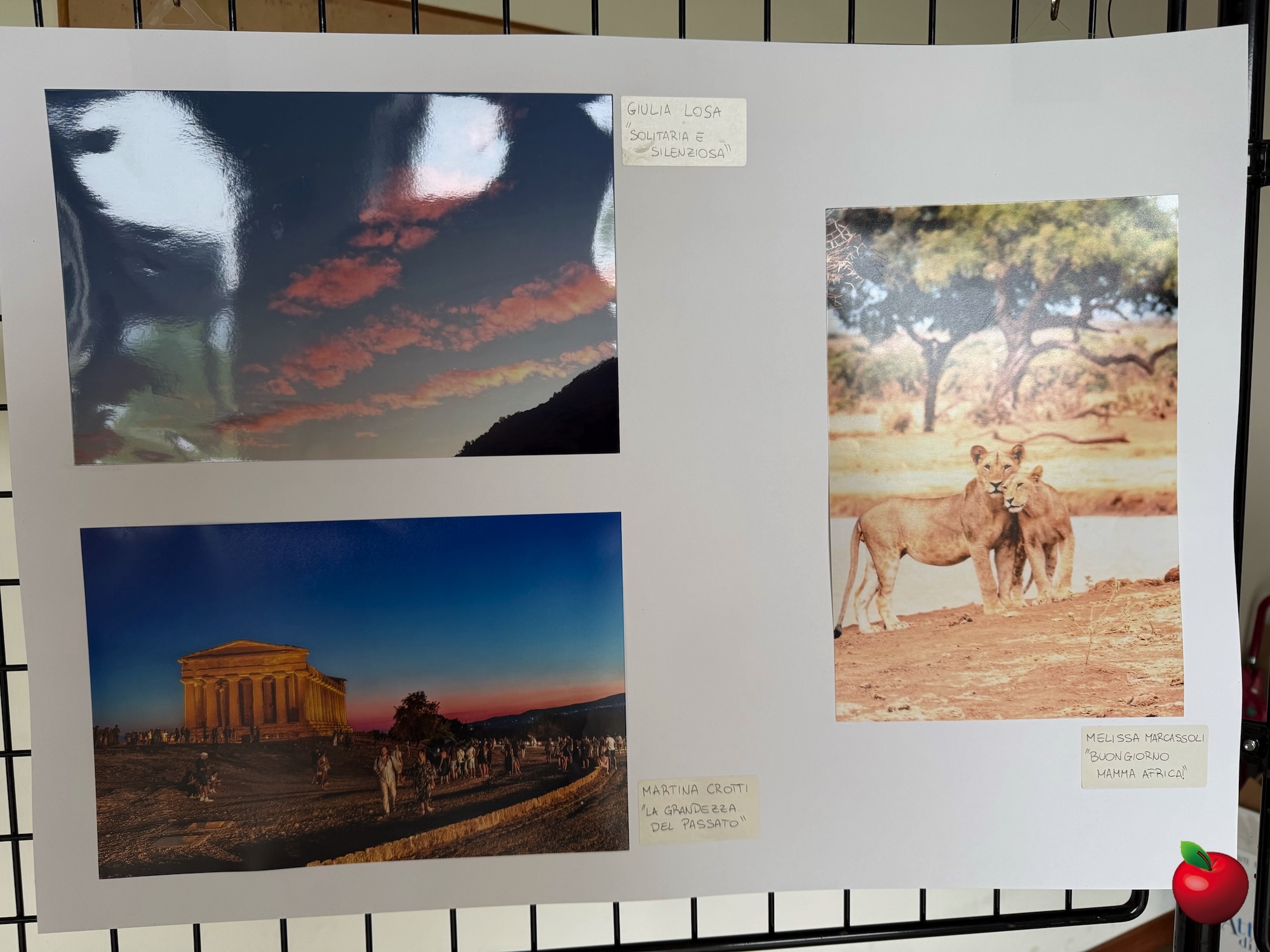 Airuno concorso foto1