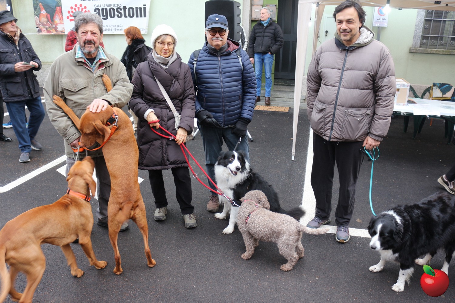 Image00006.jpg (429 KB)