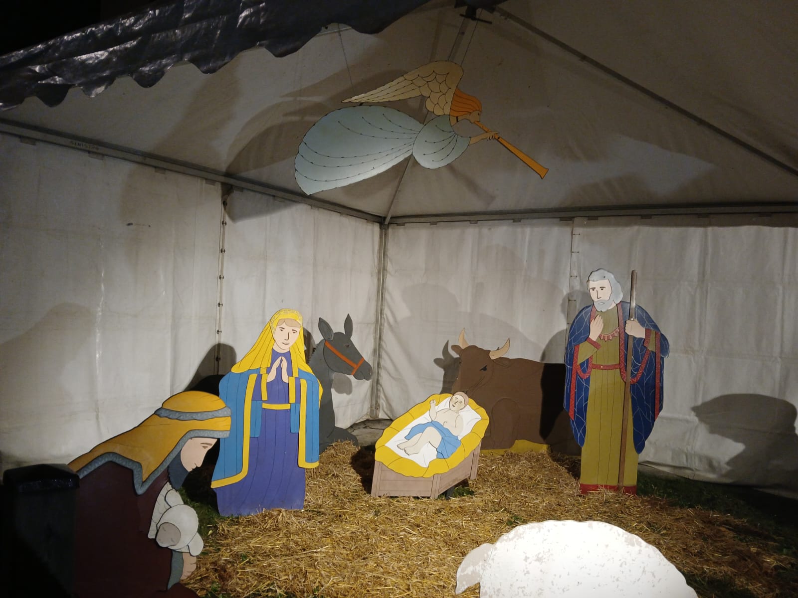 WhatsApp_Image_2026-01-05_at_13.52.16.jpeg (182 KB)